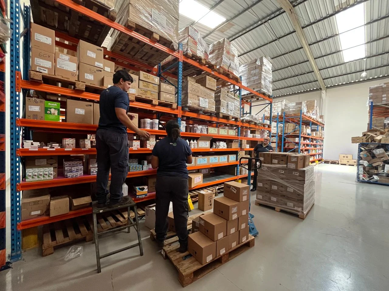 Frota de veículos de entrega da VETSEED Distribuidora